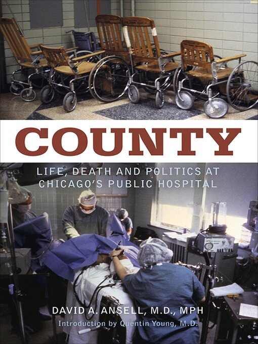 Title details for County by David A. Ansell - Available